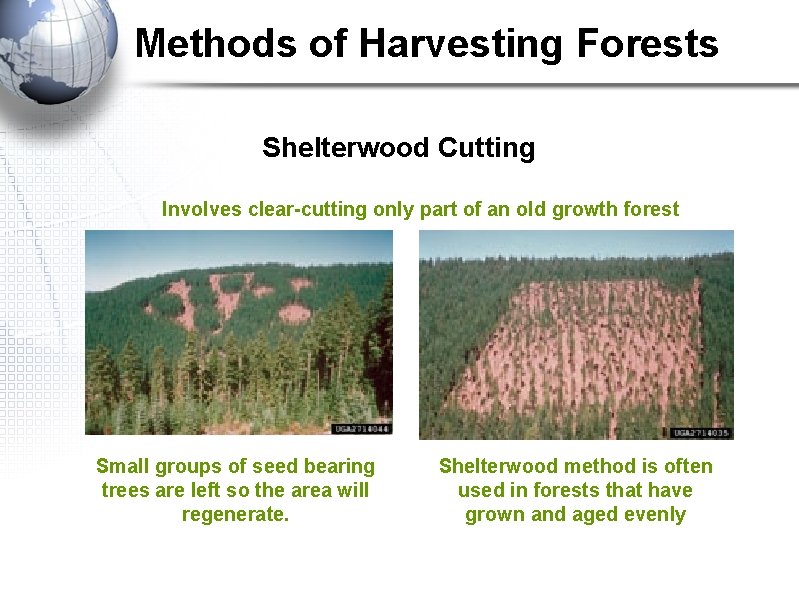 Methods of Harvesting Forests Shelterwood Cutting Involves clear-cutting only part of an old growth Methods of Harvesting Forests Shelterwood Cutting Involves clear-cutting only part of an old growth