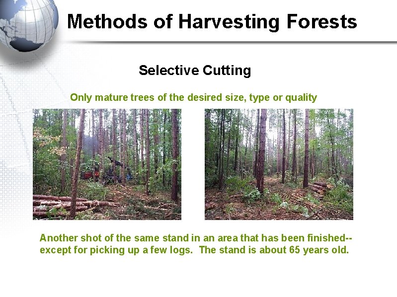 Methods of Harvesting Forests Selective Cutting Only mature trees of the desired size, type Methods of Harvesting Forests Selective Cutting Only mature trees of the desired size, type