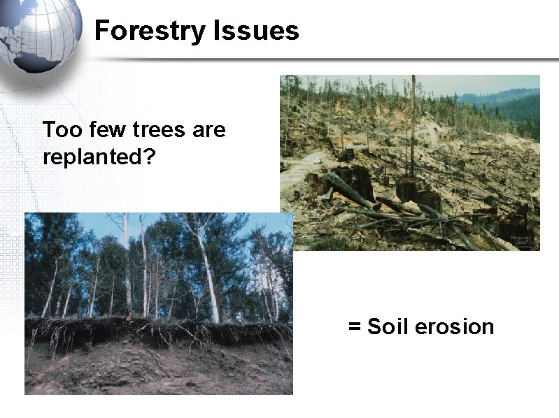 Forestry Issues Too few trees are replanted? = Soil erosion Forestry Issues Too few trees are replanted? = Soil erosion