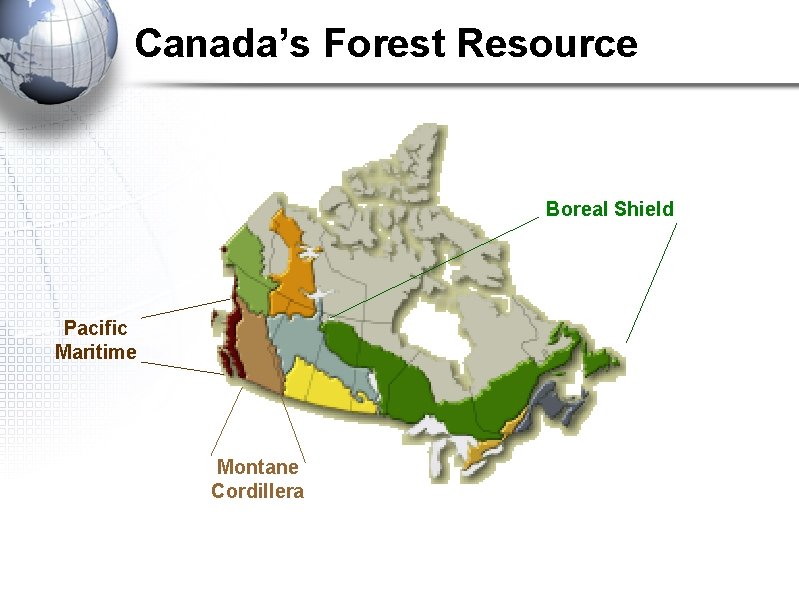 Canada’s Forest Resource Boreal Shield Pacific Maritime Montane Cordillera Canada’s Forest Resource Boreal Shield Pacific Maritime Montane Cordillera