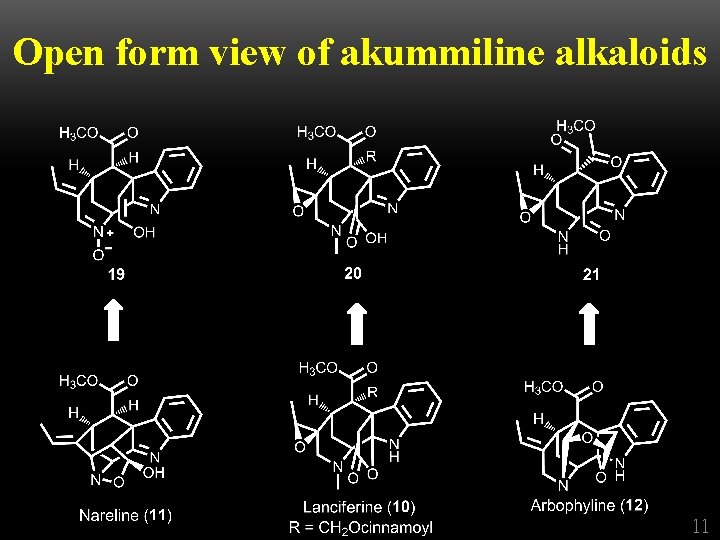 Open form view of akummiline alkaloids 11 