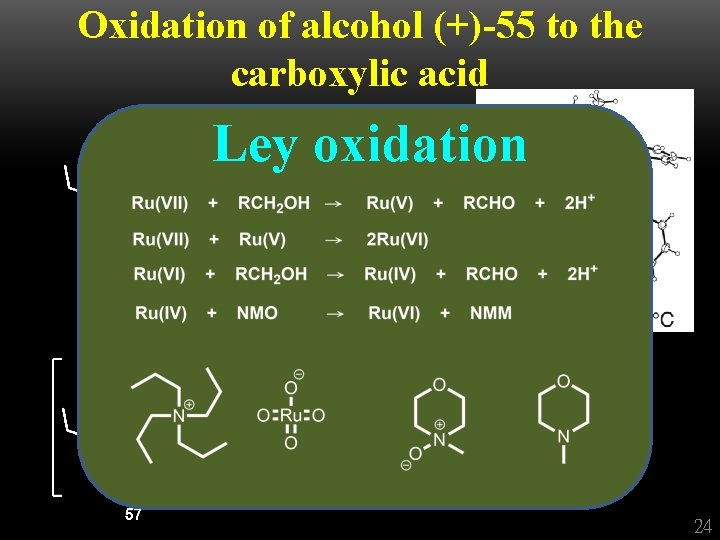 Oxidation of alcohol (+)-55 to the carboxylic acid Ley oxidation + 24 