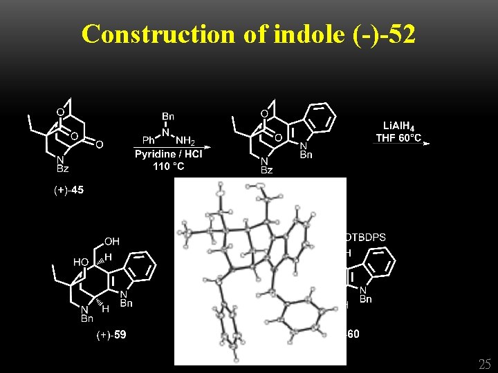 Construction of indole (-)-52 25 