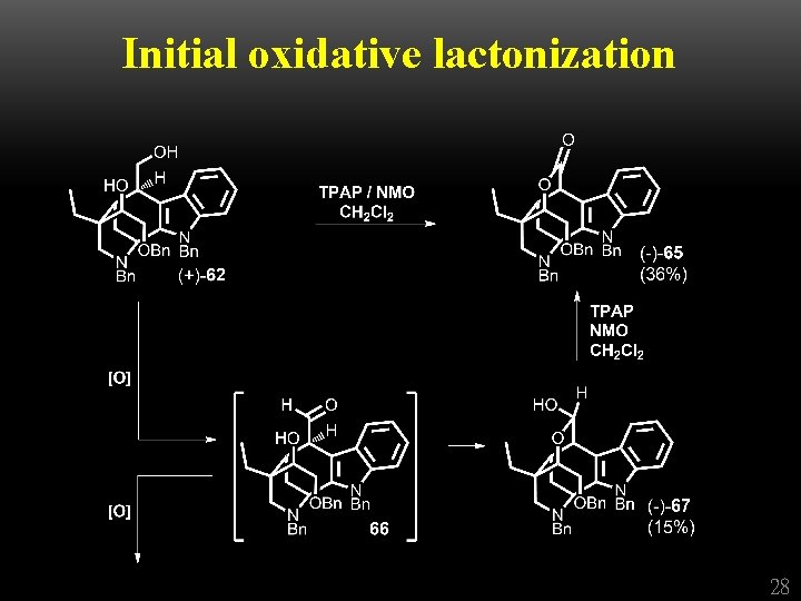 Initial oxidative lactonization 28 