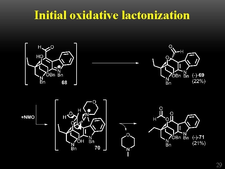 Initial oxidative lactonization 29 