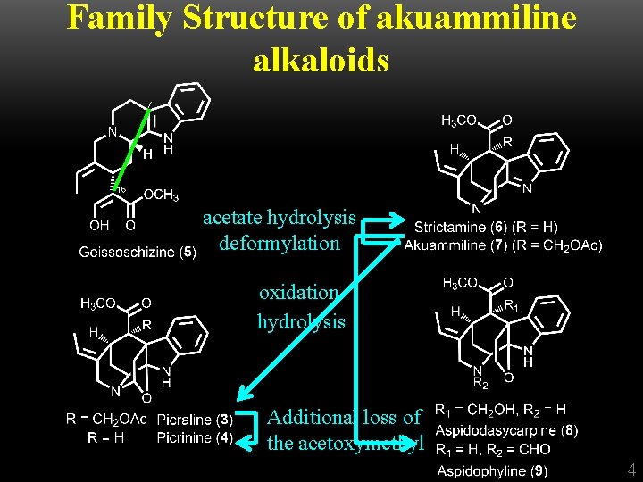 Family Structure of akuammiline alkaloids acetate hydrolysis deformylation oxidation hydrolysis Additional loss of the