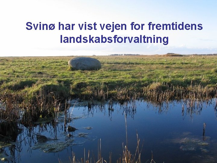Svinø har vist vejen for fremtidens landskabsforvaltning 