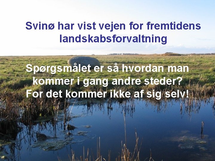Svinø har vist vejen for fremtidens landskabsforvaltning Spørgsmålet er så hvordan man kommer i