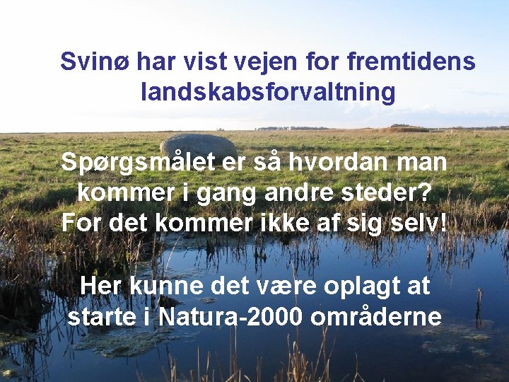 Svinø har vist vejen for fremtidens landskabsforvaltning Spørgsmålet er så hvordan man kommer i