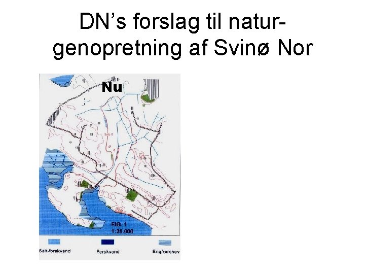 DN’s forslag til naturgenopretning af Svinø Nor Nu 