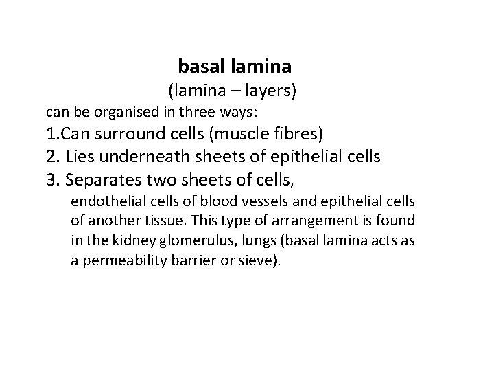 basal lamina (lamina – layers) can be organised in three ways: 1. Can surround