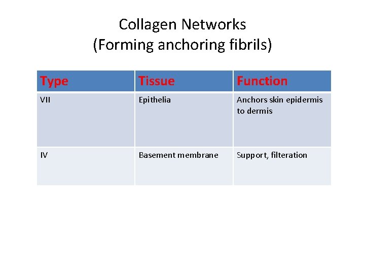 Collagen Networks (Forming anchoring fibrils) Type Tissue Function VII Epithelia Anchors skin epidermis to