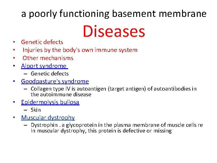 a poorly functioning basement membrane Diseases • Genetic defects • Injuries by the body's