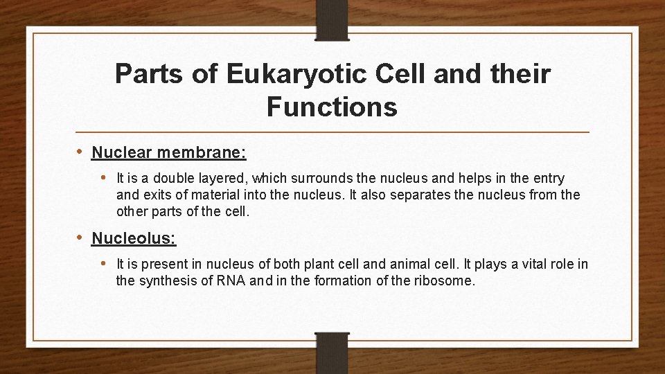 Parts of Eukaryotic Cell and their Functions • Nuclear membrane: • It is a