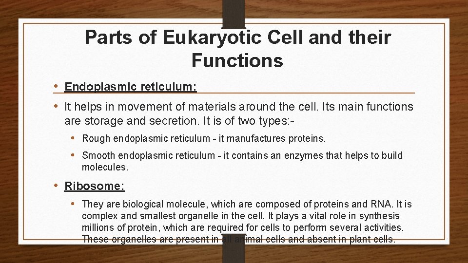 Parts of Eukaryotic Cell and their Functions • Endoplasmic reticulum: • It helps in