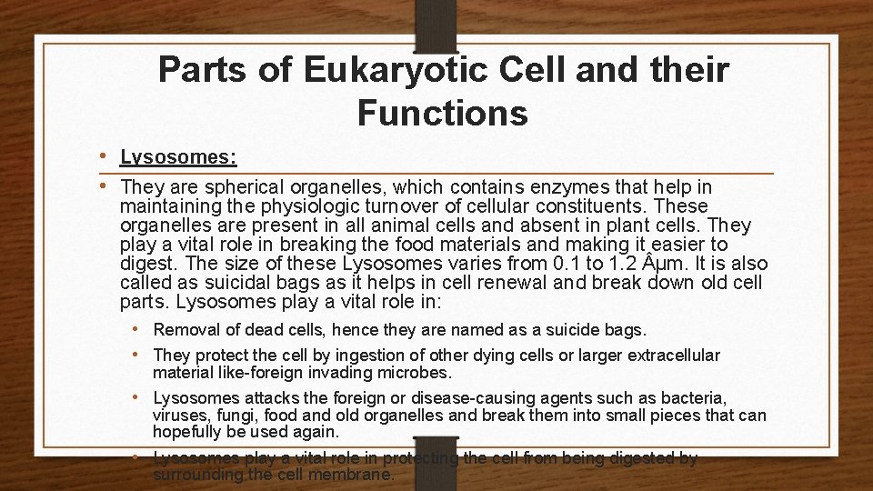 Parts of Eukaryotic Cell and their Functions • Lysosomes: • They are spherical organelles,