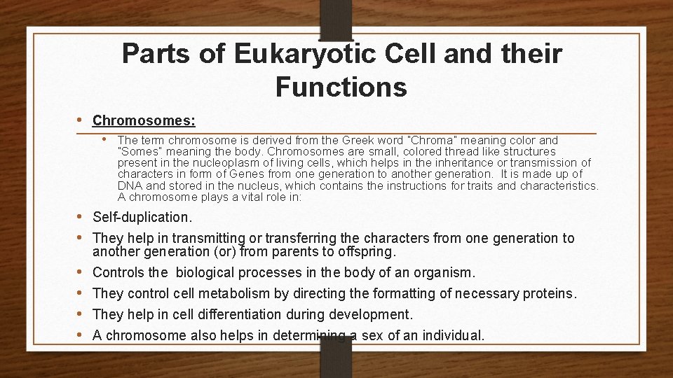 Parts of Eukaryotic Cell and their Functions • Chromosomes: • The term chromosome is