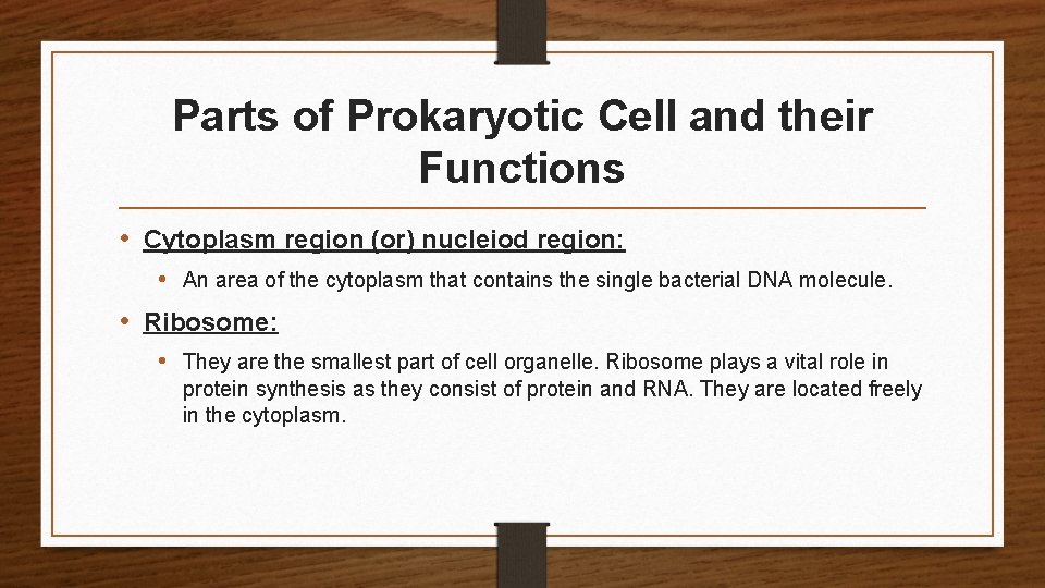 Parts of Prokaryotic Cell and their Functions • Cytoplasm region (or) nucleiod region: •