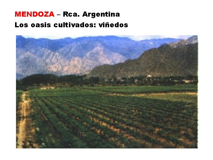 MENDOZA – Rca. Argentina Los oasis cultivados: viñedos 