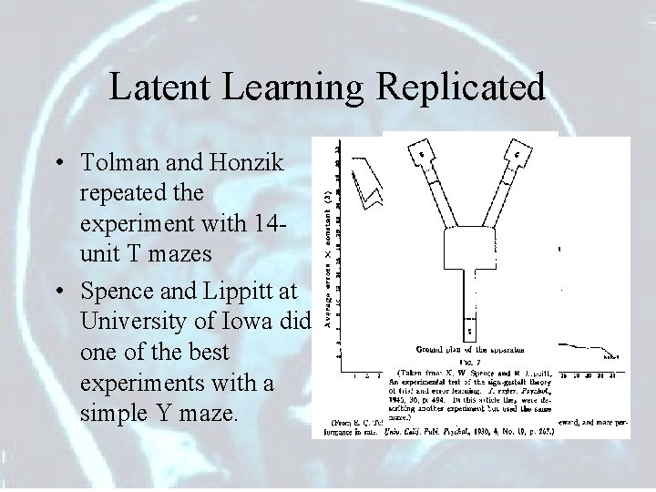 Latent Learning Replicated • Tolman and Honzik repeated the experiment with 14 unit T