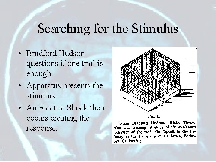 Searching for the Stimulus • Bradford Hudson questions if one trial is enough. •