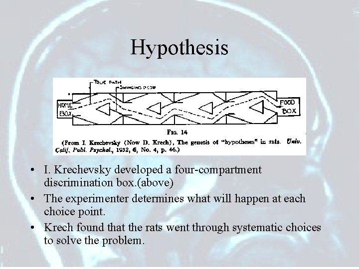 Hypothesis • I. Krechevsky developed a four-compartment discrimination box. (above) • The experimenter determines