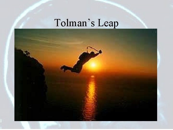 Tolman’s Leap • Tolman is suggesting that there are three ‘dynamism’ that influence behavior.