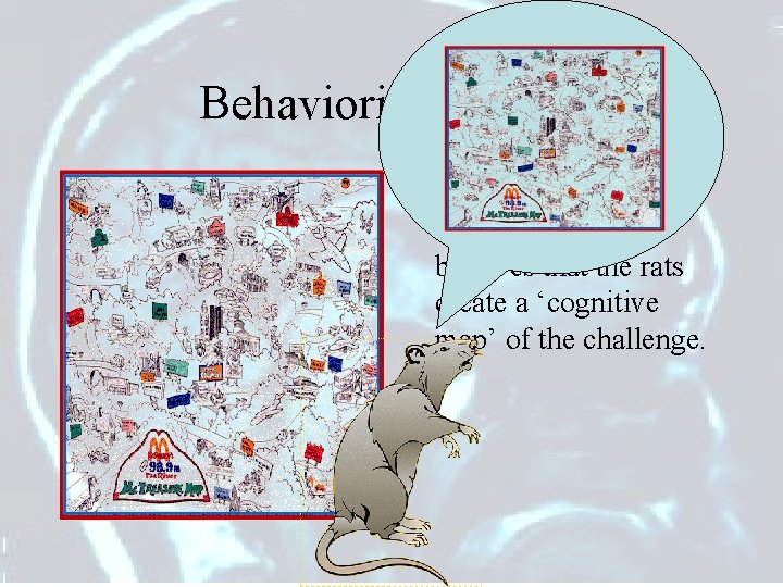 Behaviorist Schools • School number 2, Tolman’s position believes that the rats create a