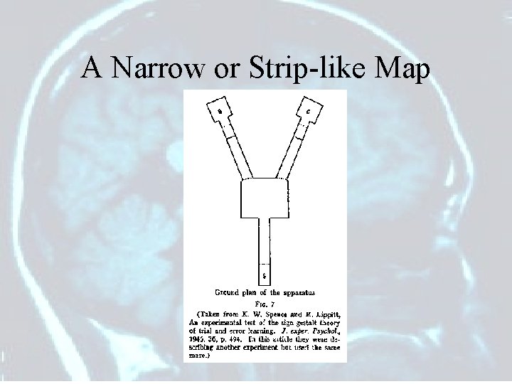 A Narrow or Strip-like Map 