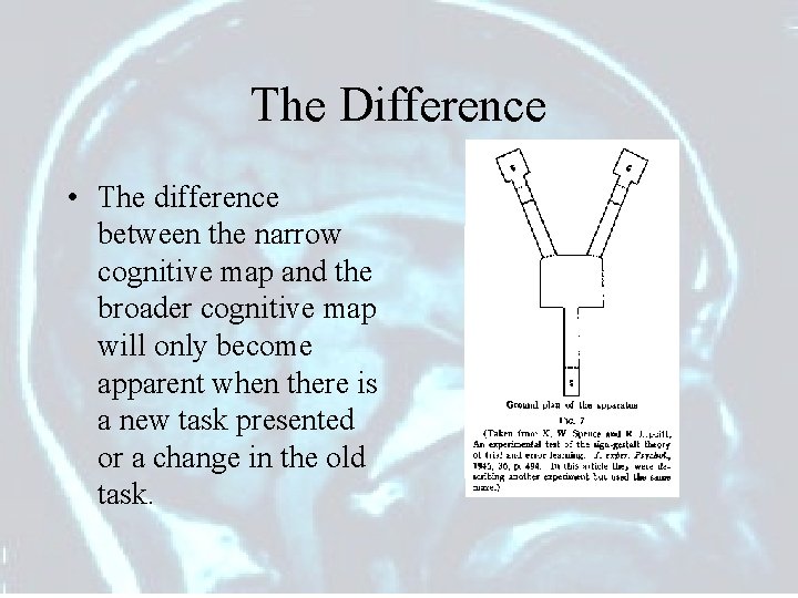 The Difference • The difference between the narrow cognitive map and the broader cognitive