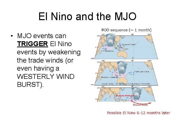 El Nino and the MJO • MJO events can TRIGGER El Nino events by