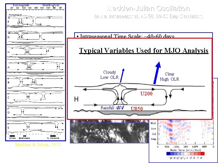 Madden-Julian Oscillation (a. k. a. Intraseasonal, 40 -50, 30 -60 Day Oscillation) • Intraseasonal