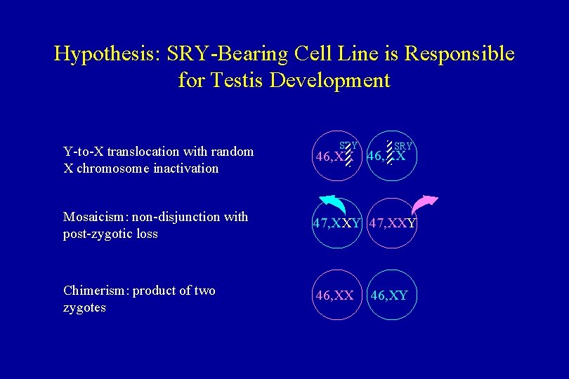 Hypothesis: SRY-Bearing Cell Line is Responsible for Testis Development SRY Y-to-X translocation with random