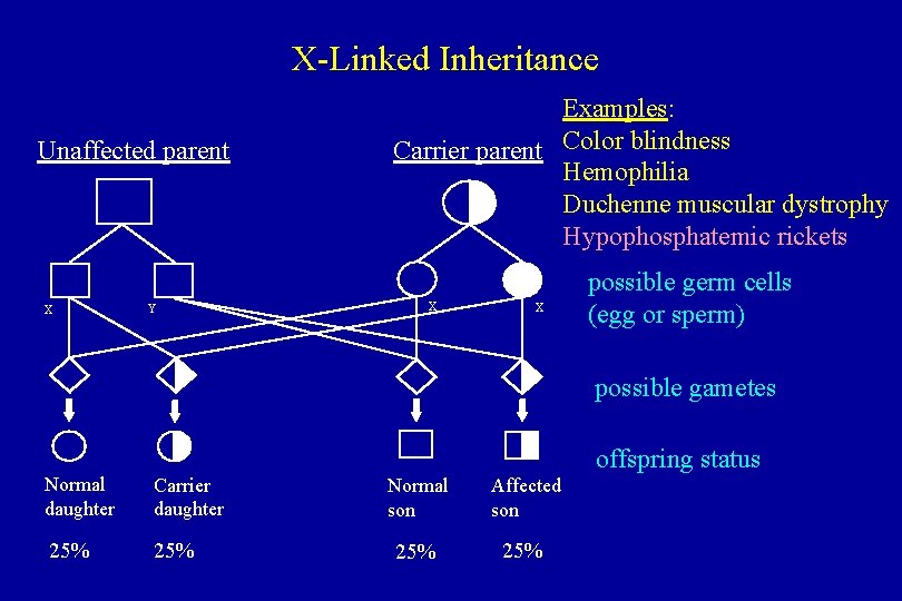 X-Linked Inheritance Unaffected parent X Y Examples: Carrier parent Color blindness Hemophilia Duchenne muscular