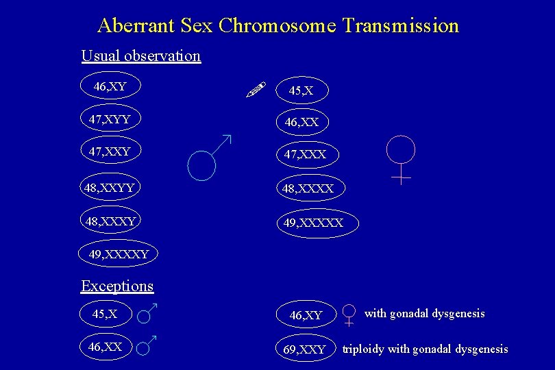 Chromosome xxxx What is