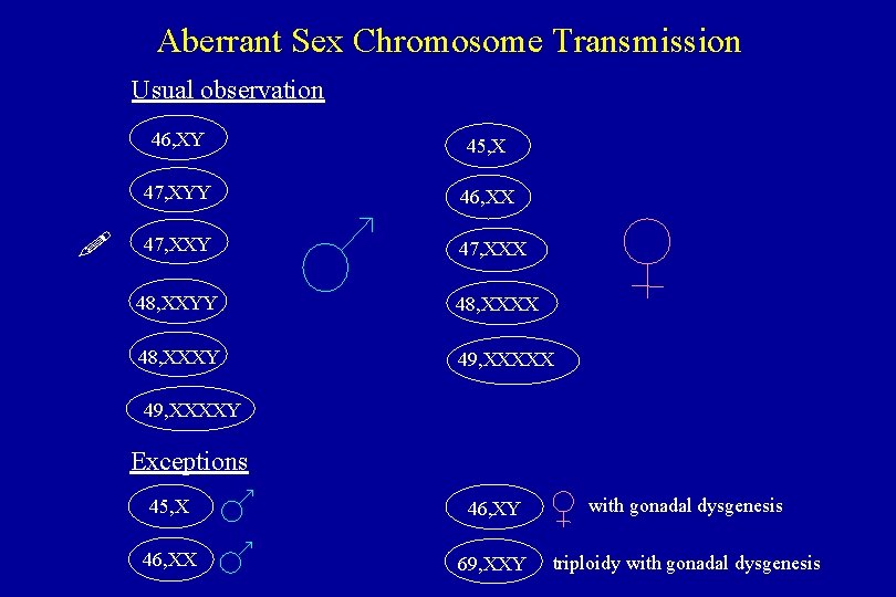 Aberrant Sex Chromosome Transmission Usual observation 46, XY 45, X 47, XYY 46, XX