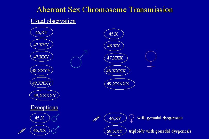 Aberrant Sex Chromosome Transmission Usual observation 46, XY 45, X 47, XYY 46, XX