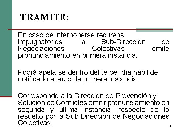 TRAMITE: En caso de interponerse recursos impugnatorios, la Sub-Dirección de Negociaciones Colectivas emite pronunciamiento