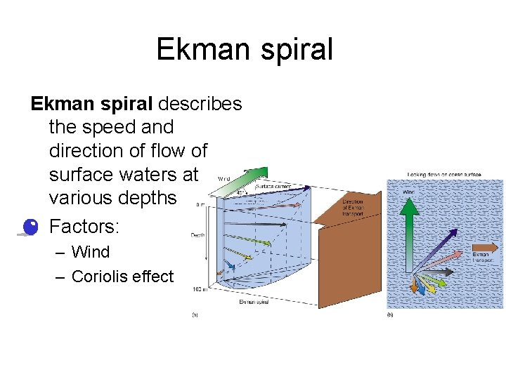 Ekman spiral describes the speed and direction of flow of surface waters at various