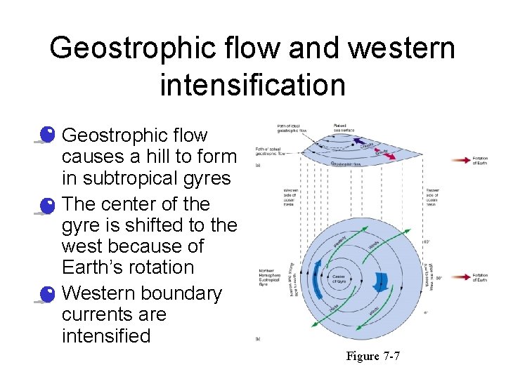 Geostrophic flow and western intensification • Geostrophic flow causes a hill to form in