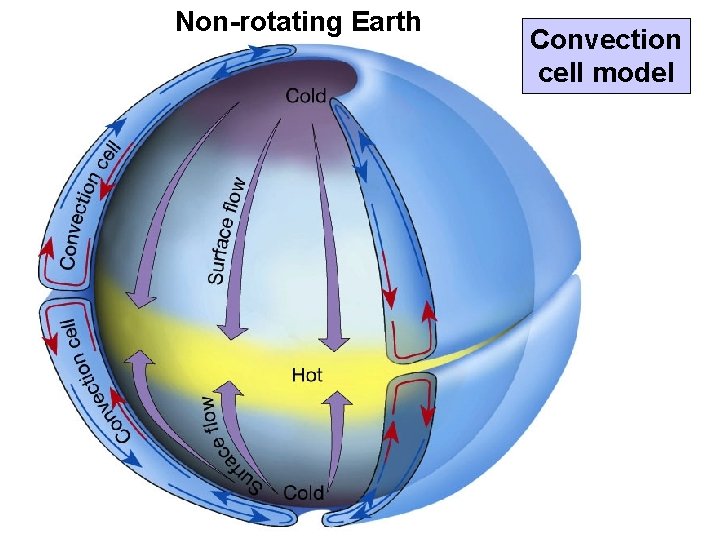 Non-rotating Earth Convection cell model 