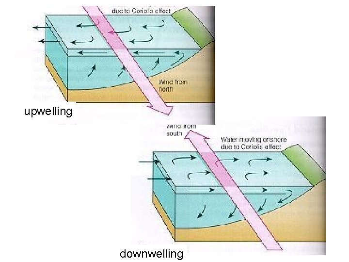 upwelling downwelling 