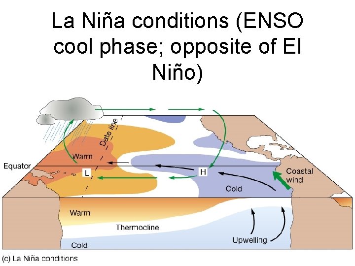 La Niña conditions (ENSO cool phase; opposite of El Niño) 
