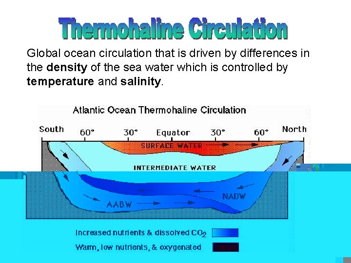 Global ocean circulation that is driven by differences in the density of the sea