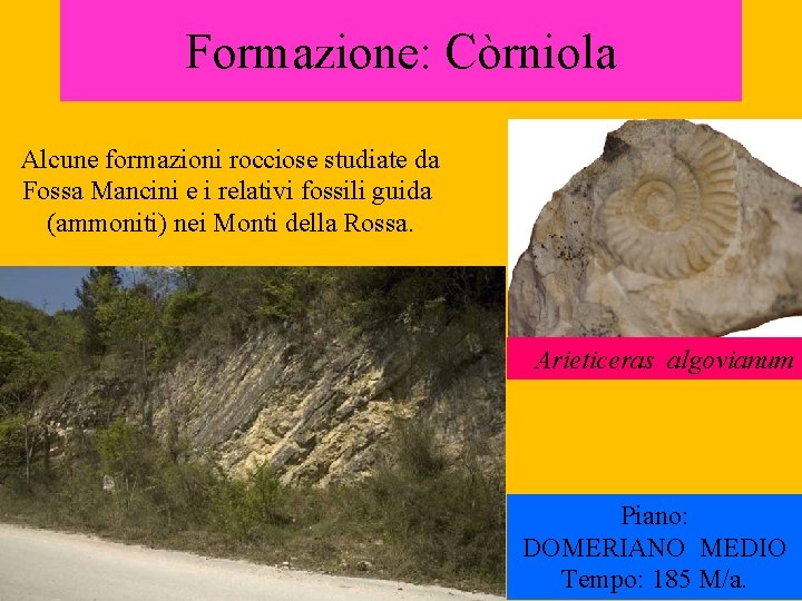 Formazione: Còrniola Alcune formazioni rocciose studiate da Fossa Mancini e i relativi fossili guida