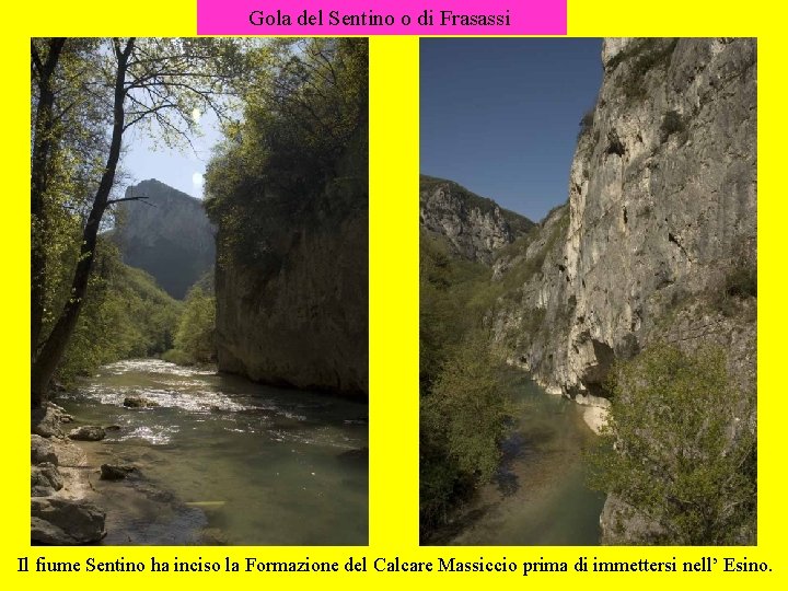 Gola del Sentino o di Frasassi Il fiume Sentino ha inciso la Formazione del