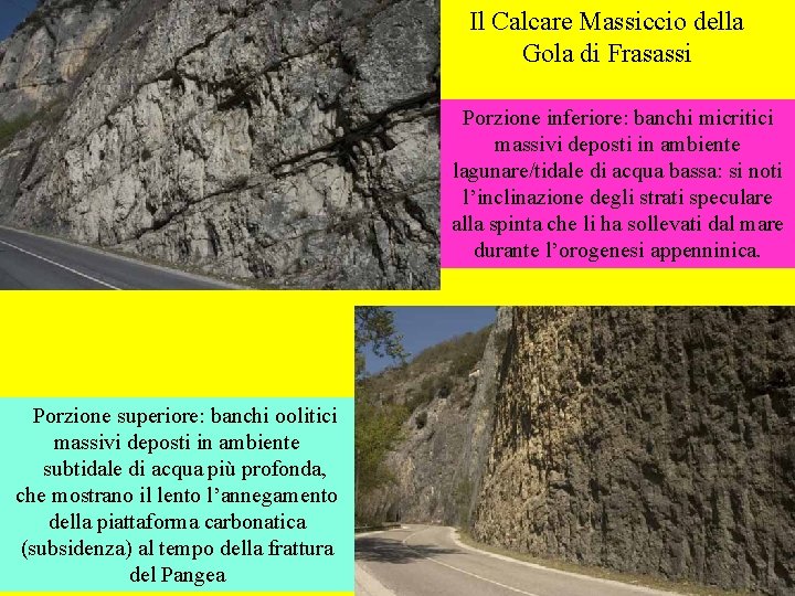 Il Calcare Massiccio della Gola di Frasassi Porzione inferiore: banchi micritici massivi deposti in