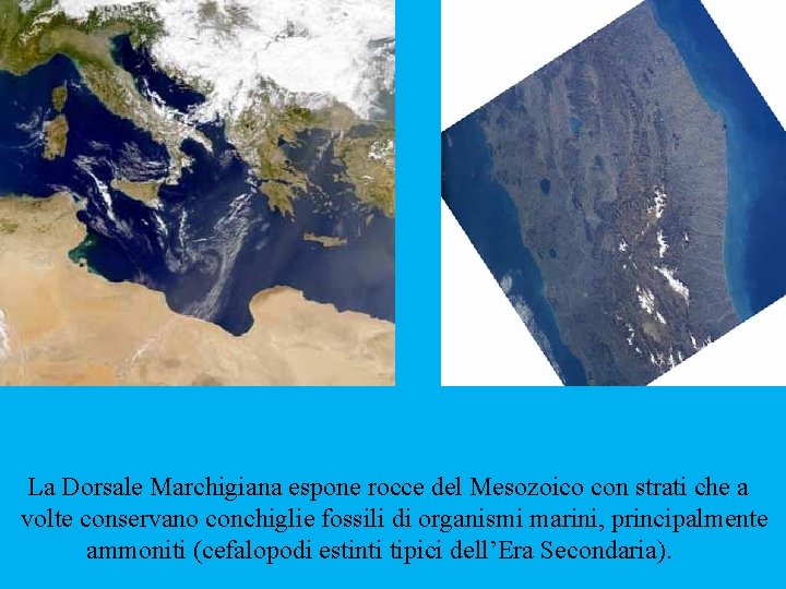 La Dorsale Marchigiana espone rocce del Mesozoico con strati che a volte conservano conchiglie