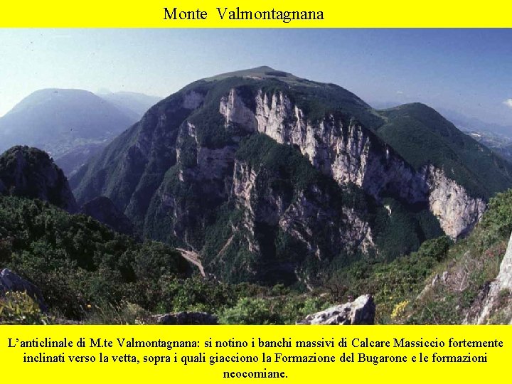 Monte Valmontagnana L’anticlinale di M. te Valmontagnana: si notino i banchi massivi di Calcare