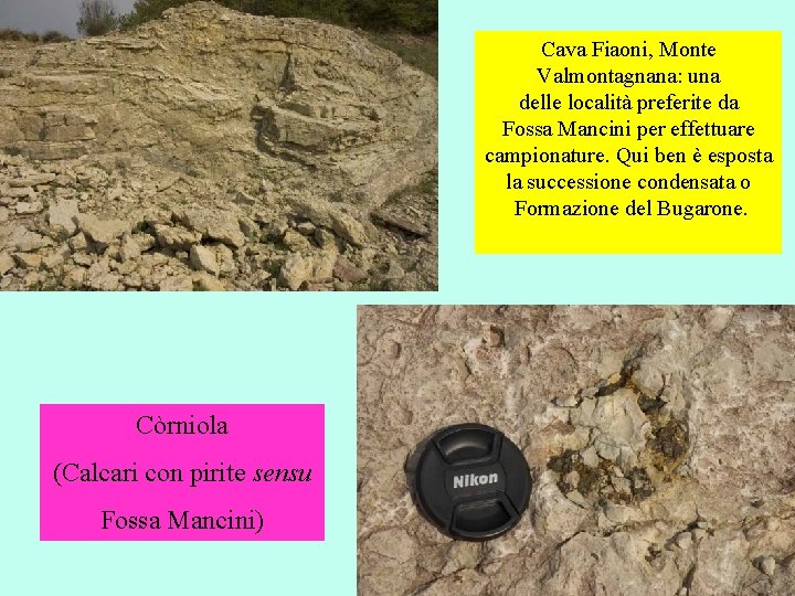 Cava Fiaoni, Monte Valmontagnana: una delle località preferite da Fossa Mancini per effettuare campionature.